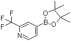 4-(4,4,5,5-四甲基-1,3,2-二氧硼烷)-2-三氟甲基吡啶结构式_1036990-42-7结构式