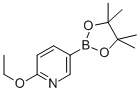 2-乙氧基-5-(4,4,5,5-四甲基-1,3,2-二氧硼烷)-吡啶结构式_1072945-01-7结构式