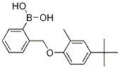 2-[(4-叔丁基-2-甲基苯氧基)甲基]苯硼酸结构式_1072951-76-8结构式