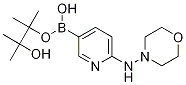 N-[5-(4,4,5,5-四甲基-1,3,2-二氧硼烷)-2-吡啶基]-4-氨基吗啉结构式_1073354-38-7结构式