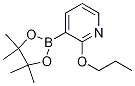2-丙氧基-3-(4,4,5,5-四甲基-1,3,2-二氧硼烷)-吡啶结构式_1073371-87-5结构式