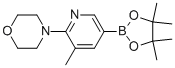 4-[3-甲基-5-(4,4,5,5-四甲基-1,3,2-二氧硼烷)-2-吡啶基]-吗啉结构式_1073372-03-8结构式