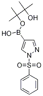 1-苯磺酰基-4-(4,4,5,5-四甲基-1,3,2-二氧硼烷)-1H-吡唑结构式_1073372-04-9结构式
