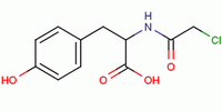 n-(2-乙酰氯)-l-酪氨酸 cas no.