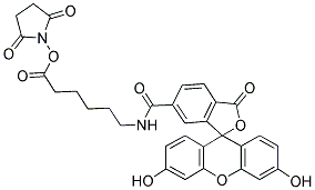 Fluorescein-5(6)-carboxamidocaproic acid n-succinimidyl ester Structure,114616-31-8Structure