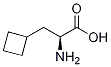 3-环丁基-L-丙氨酸结构式_1201593-65-8结构式