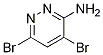 4,6-Dibromopyridazin-3-amine Structure,1206487-35-5Structure