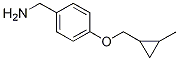 4-(2-甲基-环丙基甲氧基)-苄胺结构式_1211594-46-5结构式