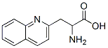 3-(2-喹啉基)-DL-丙氨酸结构式_123761-12-6结构式