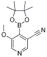 5-甲氧基-4-(4,4,5,5-四甲基-1,3,2-二噁硼烷-2-基)烟腈结构式_1247726-68-6结构式