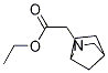 2-(2-氮杂双环[2.2.1]-2-庚基)乙酸乙酯结构式_1250423-37-0结构式