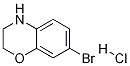 7-溴-3,4-二氢-2H-苯并[b][1,4]噁嗪盐酸盐结构式_1350738-87-2结构式