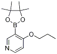 4-丙氧基-3-(4,4,5,5-四甲基-1,3,2-二噁硼烷-2-基)吡啶结构式_1351994-80-3结构式
