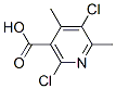 2,5-Dichloro-4,6-dimethylnicotinicacid Structure,142266-66-8Structure