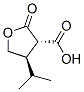 反式-(9ci)-四氢-4-(1-甲基乙基)-2-氧代-3-呋喃羧酸结构式_147160-17-6结构式