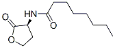 辛酰基-L-高丝氨酸内酯结构式_147852-84-4结构式