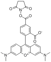 5-羧基四甲基罗丹明琥珀酰亚胺酯结构式_150810-68-7结构式