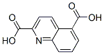2,5-喹啉二羧酸(9ci)结构式_155602-27-0结构式