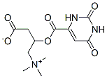 左旋肉碱乳清酸盐结构式_160468-17-7结构式