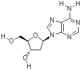 2-脱氧腺苷一水合物结构式_16373-93-6结构式