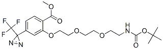 2-[(2,2-二甲基-4-氧代-3,8,11-三氧杂-5-氮杂十三烷-13-基)氧基]-3-[3-(三氟甲基)-3H-二氮杂环丙烯-3-基]苯甲酸甲酯结构式_165963-73-5结构式
