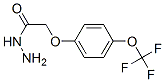 4-(三氟甲氧基)苯氧基乙酸肼结构式_175204-36-1结构式