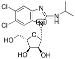 (2S,3s,4r,5s)-2-(5,6-二氯-2-(异丙基氨基)-1H-苯并[d]咪唑-1-基)-5-(羟基甲基)四氢呋喃-3,4-二醇结构式_176161-24-3结构式