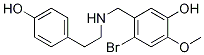 4-溴-5-((4-羟基苯乙基氨基)甲基)-2-甲氧基苯酚结构式_179107-93-8结构式