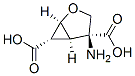 4-Amino-2-oxabicyclo[3.1.0]hexane-4,6-dicarboxylic acid Structure,191471-51-9Structure
