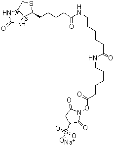 6-[[6-[[5-[(3AS,4S,6AR)-六氢-2-氧代-1H-噻吩并[3,4-D]咪唑-4-基]-1-氧代戊基]氨基]-1-氧代己基]氨基]-己酸 2,5-二氧代-3-磺基-1-吡咯烷基酯钠盐结构式_194041-66-2结构式