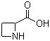 DL-氮杂环丁烷-2-羧酸结构式_20063-89-2结构式