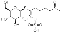 硫代葡萄糖苷/萝卜硫苷结构式_21414-41-5结构式