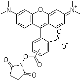 5(6)-羧基四甲基罗丹明琥珀酰亚胺酯结构式_246256-50-8结构式