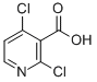 2,4-二氯烟酸结构式_262423-77-8结构式