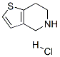 4,5,6,7-四氢噻吩[3,2-c]吡啶盐酸盐结构式_28783-41-7结构式