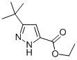 3-(叔丁基)-1H-吡唑-5-羧酸乙酯结构式_294852-57-6结构式