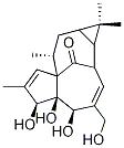 巨大戟醇结构式_30220-46-3结构式