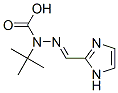 (2E)-2-(1h-imidazol-2-ylmethylene)-1-(2-methyl-2-propanyl)hydrazinecarboxylic acid Structure,348628-29-5Structure