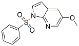 1H-Pyrrolo[2,3-b]pyridine, 5-methoxy-1-(phenylsulfonyl)- Structure,397842-89-6Structure