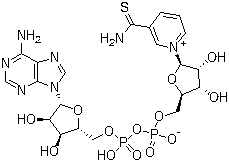 硫代辅酶,还原烟酰胺次黄嘌呤二核苷酸结构式_4090-29-3结构式