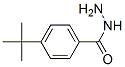 对叔丁基苯甲酰肼结构式_43100-38-5结构式