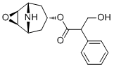 Norscopolamine Structure,4684-28-0Structure