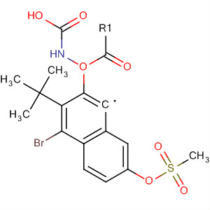 4-溴-1-(叔丁氧基羰基氨基)-7-[(甲烷磺酰基)氧基]萘结构式_497151-58-3结构式