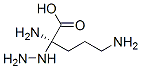 Alpha-hydrazinoornithine Structure,50865-98-0Structure