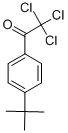 P-叔丁基-2,2,2-三氯苯乙酮结构式_51326-37-5结构式