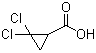 2,2-二氯环丙烷羧酸结构式_5365-14-0结构式