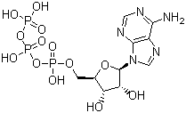 5-三磷酸腺苷结构式_56-65-5结构式