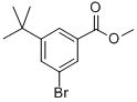 3-叔丁基-5-溴苯甲酸甲酯结构式_560131-64-8结构式