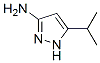 5-异丙基-1H-吡唑-3-胺结构式_56367-24-9结构式
