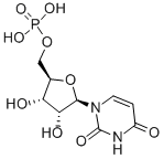 尿苷5-单磷酸结构式_58-97-9结构式